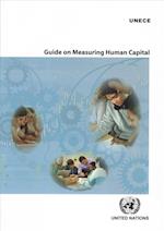 Guide on Measuring Human Capital