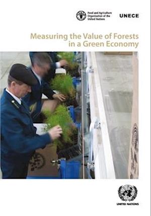 Measuring the Value of Forests in a Green Economy