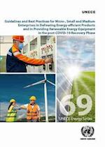 Guidelines and Best Practices for Micro-, Small and Medium Enterprises in Delivering Energy-Efficient Products and in Providing Renewable Energy Equip