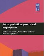 Social Protection, Growth and Employment