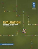 Evaluation of disability inclusive development at UNDP