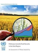 Pathways Towards Food Security in the Arab Region