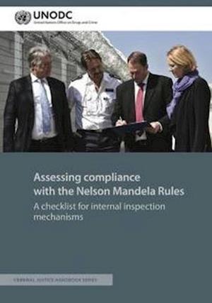 Assessing Compliance with the Nelson Mandela Rules