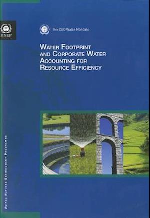 Water Footprint and Corporate Water Accounting for Resource Efficiency