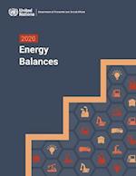 2020 Energy Balances