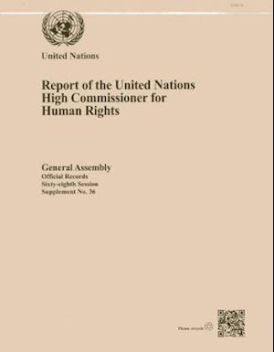 Report of the United Nations High Commissioner for Human Rights