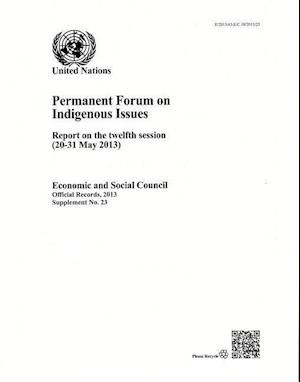 Report of the United Nations Permanent Forum on Indigenous Issues