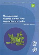 Microbiological Hazards in Fresh Leafy Vegetables and Herbs
