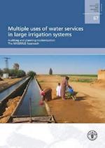 Multiple Uses of Water Services in Large Irrigation Systems Auditing and Planning Modernization the Massmus Approach