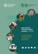 Agricultural Transformation Centres in Africa - Practical Guidance to Promote Inclusive Agro-Industrial Development