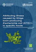 Attributing Illness Caused by Shiga Toxin-Producing Escherichia Coli (Stec) to Specific Foods