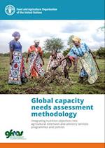 Global Capacity Needs Assessment Methodology