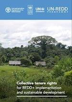 Collective tenure rights for REDD+ implementation and sustainable development