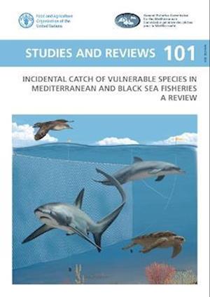 Incidental catch of vulnerable species in Mediterranean and Black Sea fisheries