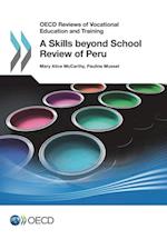OECD Reviews of Vocational Education and Training A Skills beyond School Review of Peru