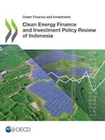 Clean Energy Finance and Investment Policy Review of Indonesia 