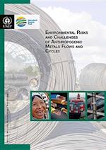 Environmental Risks and Challenges of Anthropogenic Metals Flows and Cycles
