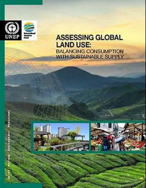 Assessing Global Land Use