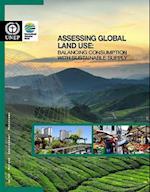 Assessing Global Land Use
