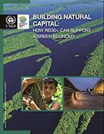 Building Natural Capital