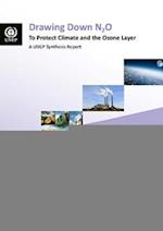 Drawing Down N2o to Protect Climate and the Ozone Layer