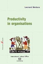 Productivity in Organisations