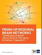 Firing Up Regional Brain Networks