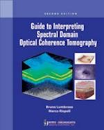 Guide to Interpreting Spectral Domain Optical Coherence Tomography