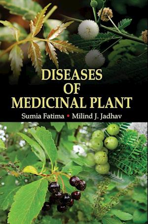 DISEASES OF MEDICINAL PLANT