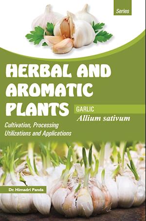 HERBAL AND AROMATIC PLANTS -  Allium sativum (GARLIC)