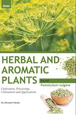 HERBAL AND AROMATIC PLANTS - Foeniculum vulgare (SAUNF) 