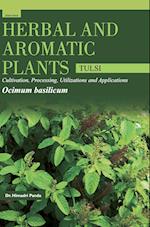 HERBAL AND AROMATIC PLANTS - Ocimum basilicum (TULSI) 