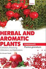 HERBAL AND AROMATIC PLANTS - Punica granatum (POMEGRANATE) 