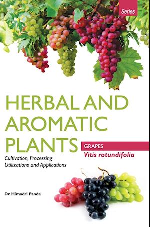 HERBAL AND AROMATIC PLANTS -  Vitis rotundifolia (GRAPES)