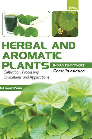 HERBAL AND AROMATIC PLANTS  -  Centella asiatica (INDIAN PENNYWORT)