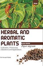 HERBAL AND AROMATIC PLANTS - Piper nigrum (BLACK PEPPER) 