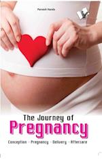 The Journey of Pregnancy