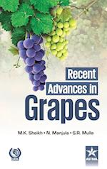 Recent Advances in Grapes