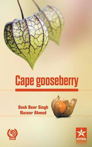 Cape gooseberry