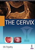 The Cervix