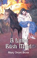 A Little Bush Maid