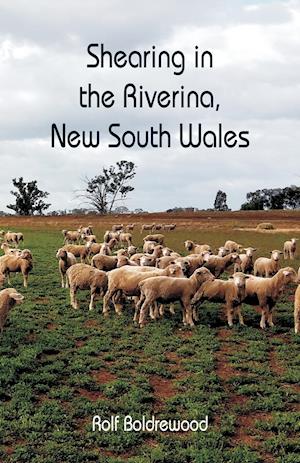 Shearing in the Riverina, New South Wales