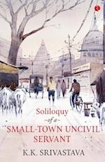 Soliloquy of a Small-town Uncivil Servant 