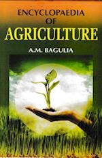 Encyclopaedia Of Agriculture (Agriculture: Soil And Water)