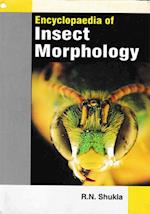 Encyclopaedia Of Insect Morphology