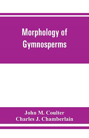 Morphology of gymnosperms