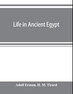 Life in ancient Egypt