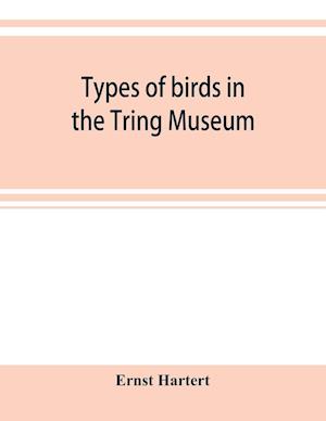 Types of birds in the Tring Museum