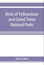Birds of Yellowstone and Grand Teton National Parks