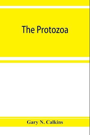 The Protozoa